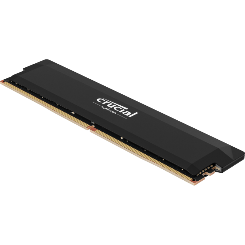 Memoria Crucial 16GB DDR5 6000MHz Pro OC