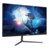 Monitor Dahua 24" IPS FHD 165Hz DHI-LM24-E231