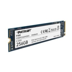 256Gb M.2 Patriot P300