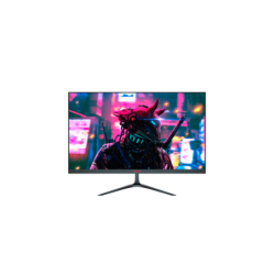 MONITOR Redragon RUBY 23.6'' 165Hz